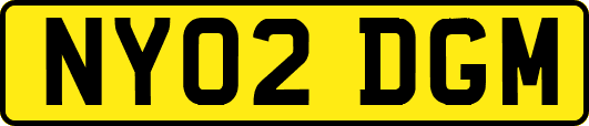NY02DGM