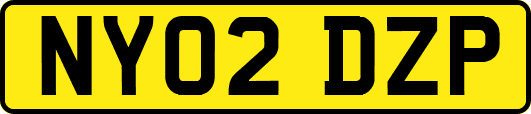 NY02DZP