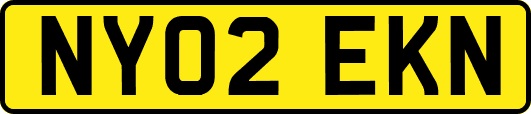 NY02EKN