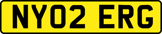 NY02ERG