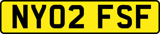 NY02FSF