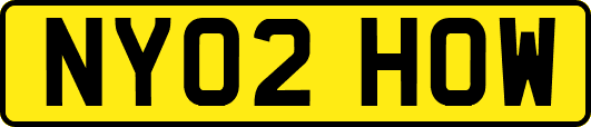 NY02HOW