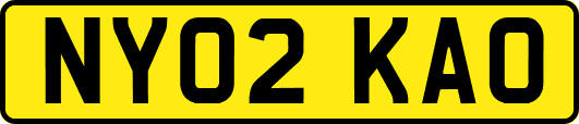 NY02KAO