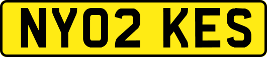 NY02KES