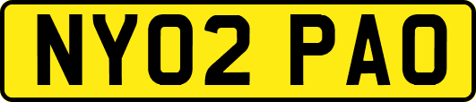 NY02PAO