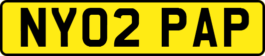 NY02PAP