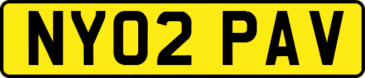 NY02PAV
