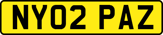 NY02PAZ