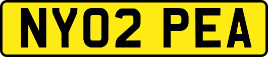 NY02PEA