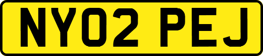 NY02PEJ
