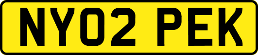 NY02PEK