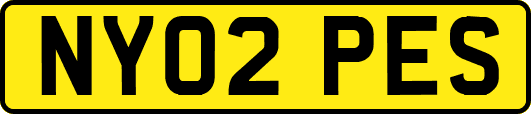 NY02PES