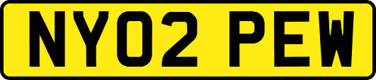NY02PEW
