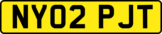 NY02PJT