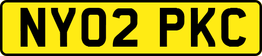 NY02PKC
