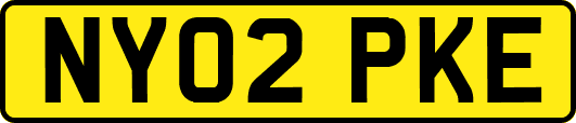 NY02PKE