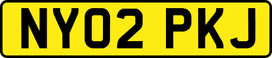 NY02PKJ