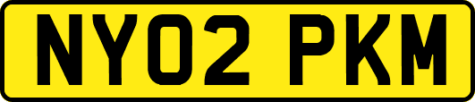 NY02PKM