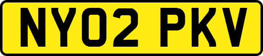 NY02PKV