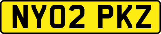 NY02PKZ