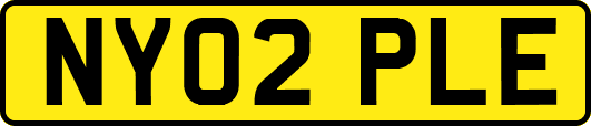 NY02PLE
