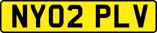 NY02PLV