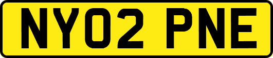 NY02PNE