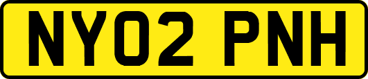 NY02PNH