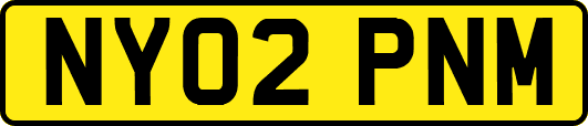 NY02PNM