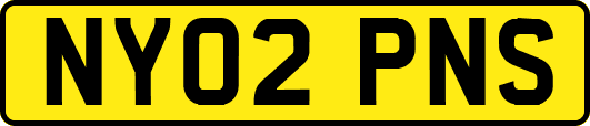 NY02PNS