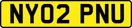 NY02PNU