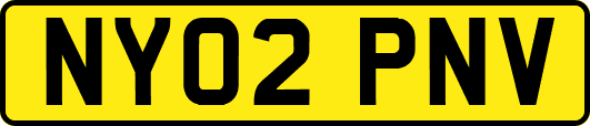 NY02PNV