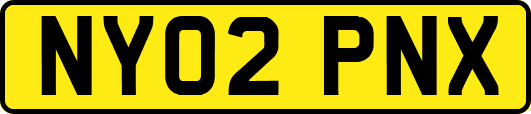 NY02PNX