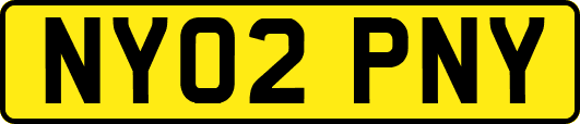 NY02PNY