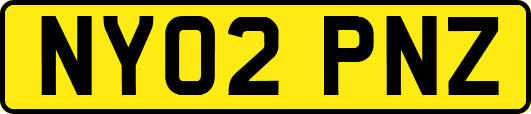 NY02PNZ