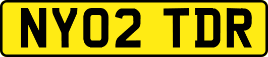 NY02TDR