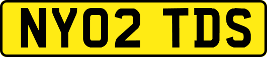 NY02TDS