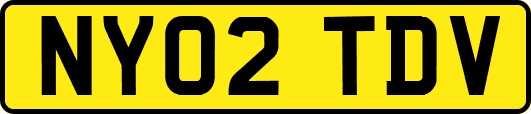 NY02TDV