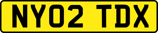 NY02TDX