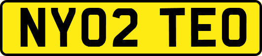 NY02TEO