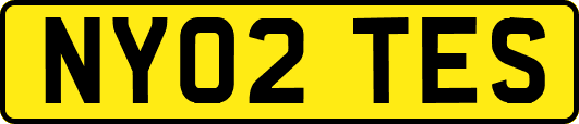 NY02TES