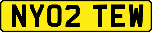 NY02TEW