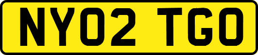 NY02TGO