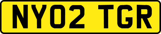 NY02TGR