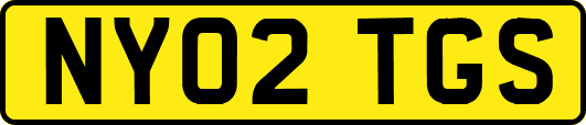 NY02TGS
