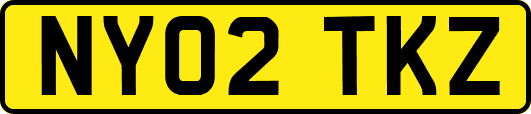 NY02TKZ