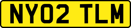 NY02TLM