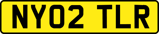NY02TLR