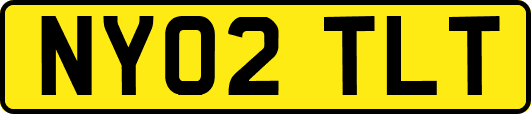 NY02TLT