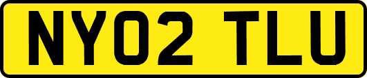 NY02TLU